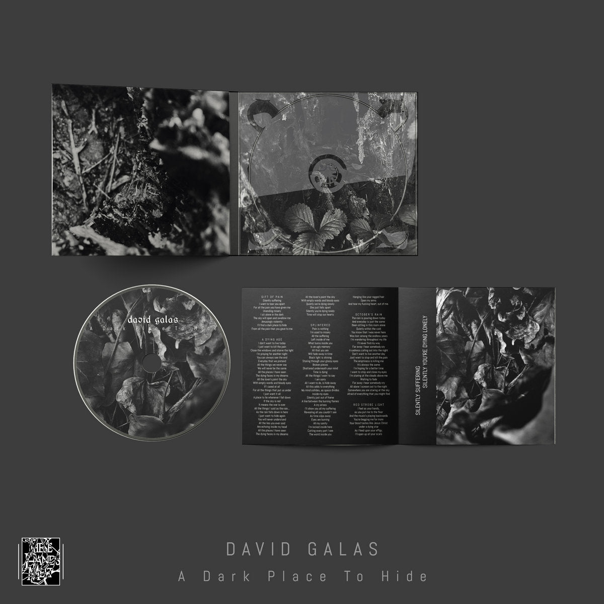DAVID GALAS - A Dark Place To Hide [Digi-CD]