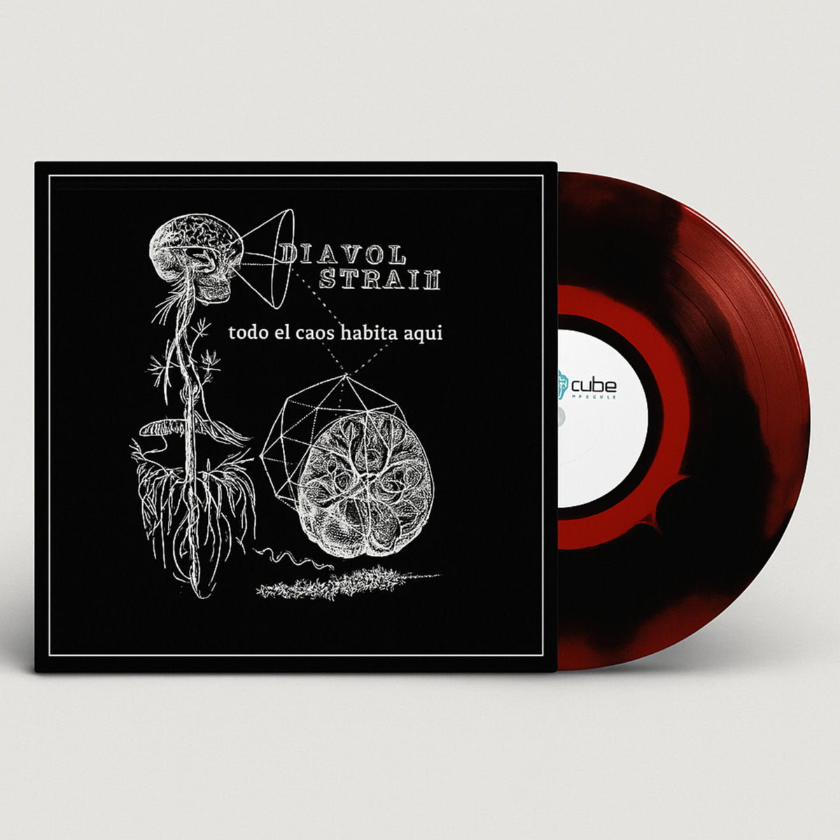 Diavol Strâin – Todo El Caos Habita Aquí [LP]