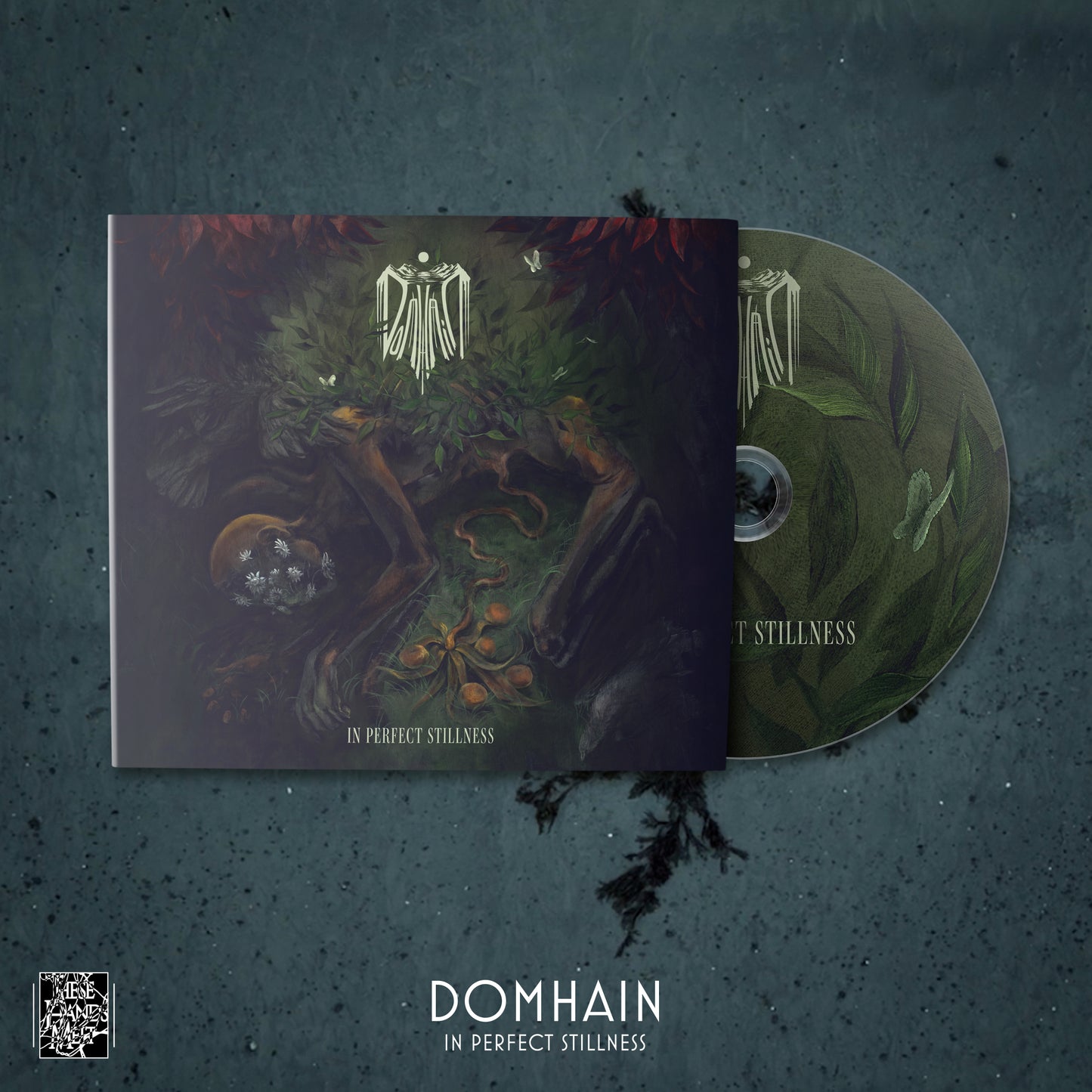 Domhain - In Perfect Stillness [CD]