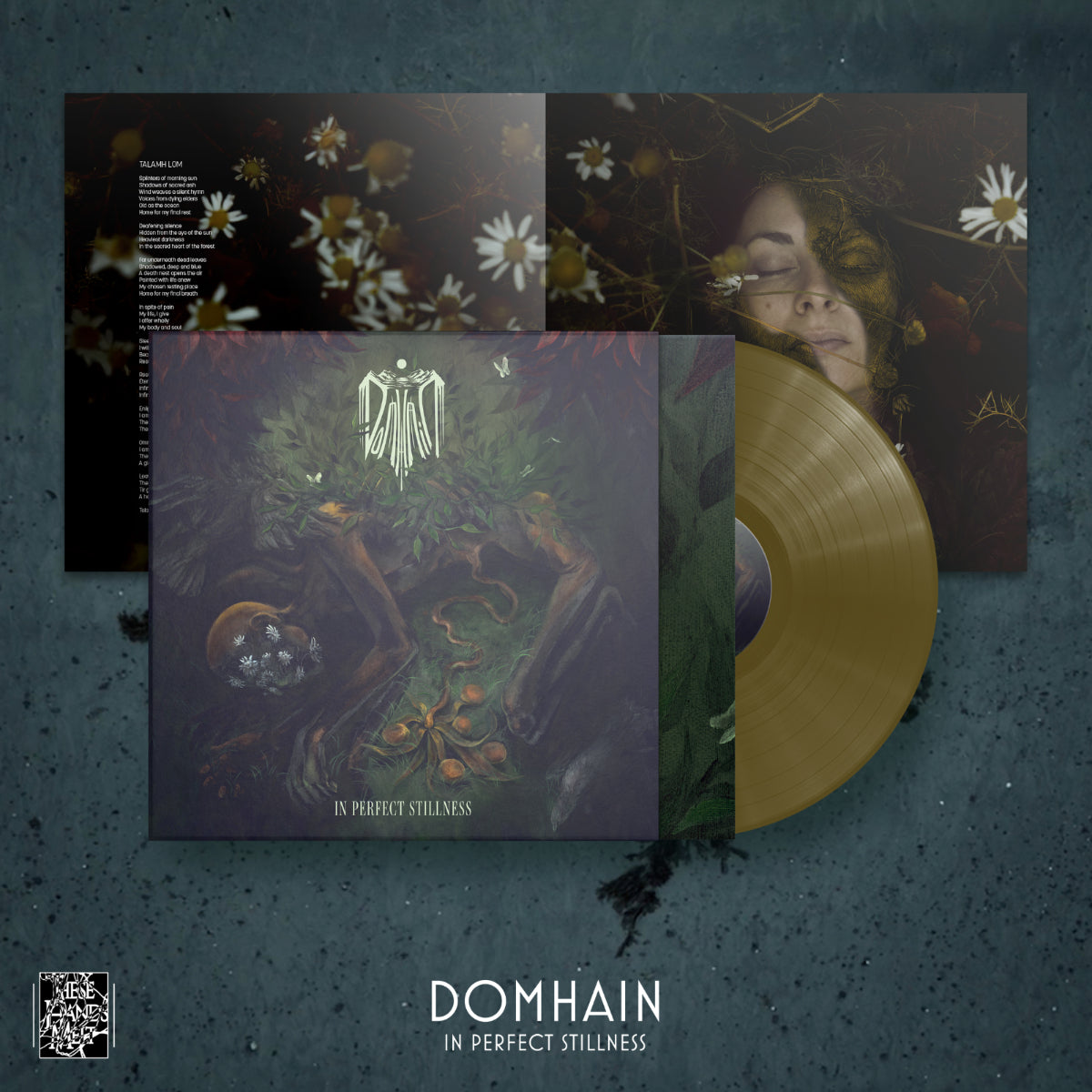 Domhain - In Perfect Stillness [LP]