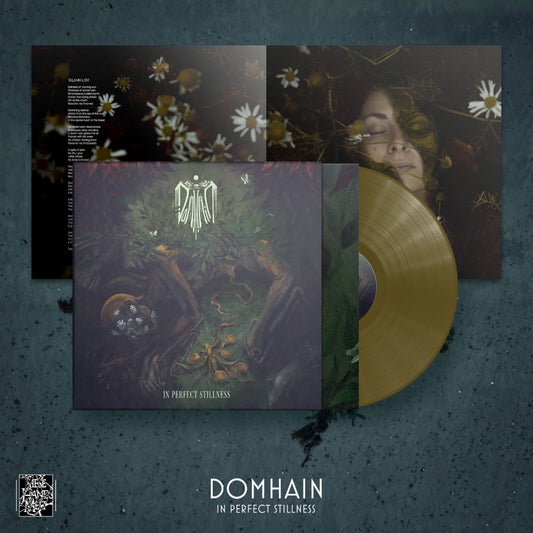 Domhain - In Perfect Stillness [LP]